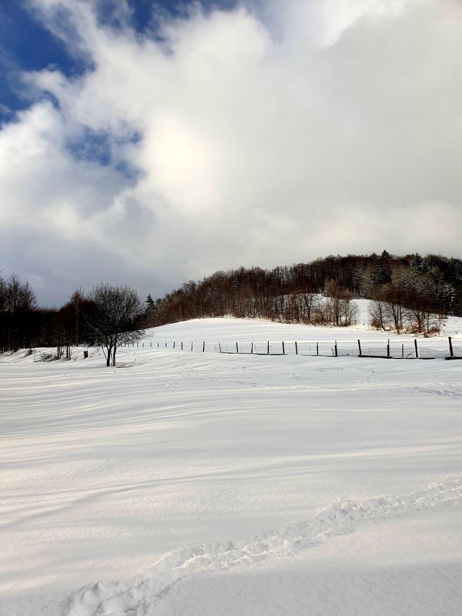 Agroturystyka Natura Pilchowice Bagian luar foto